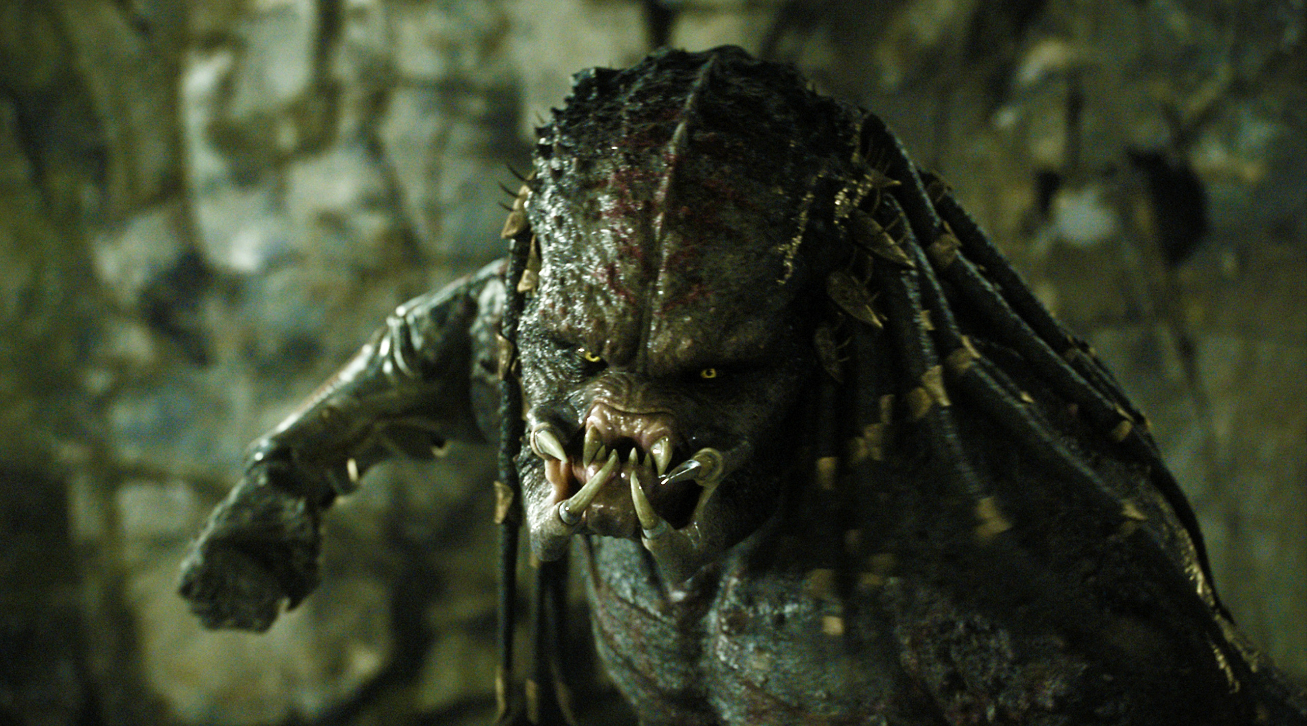 【tnabo】疯狂的科学实验品《铁血战士》就不该出实验室