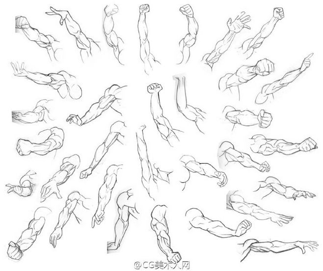 人物造型篇四十八手臂的运动规律板绘经验分享六十三