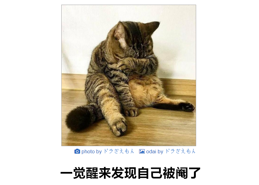 日式冷吐槽第期钱都去哪了