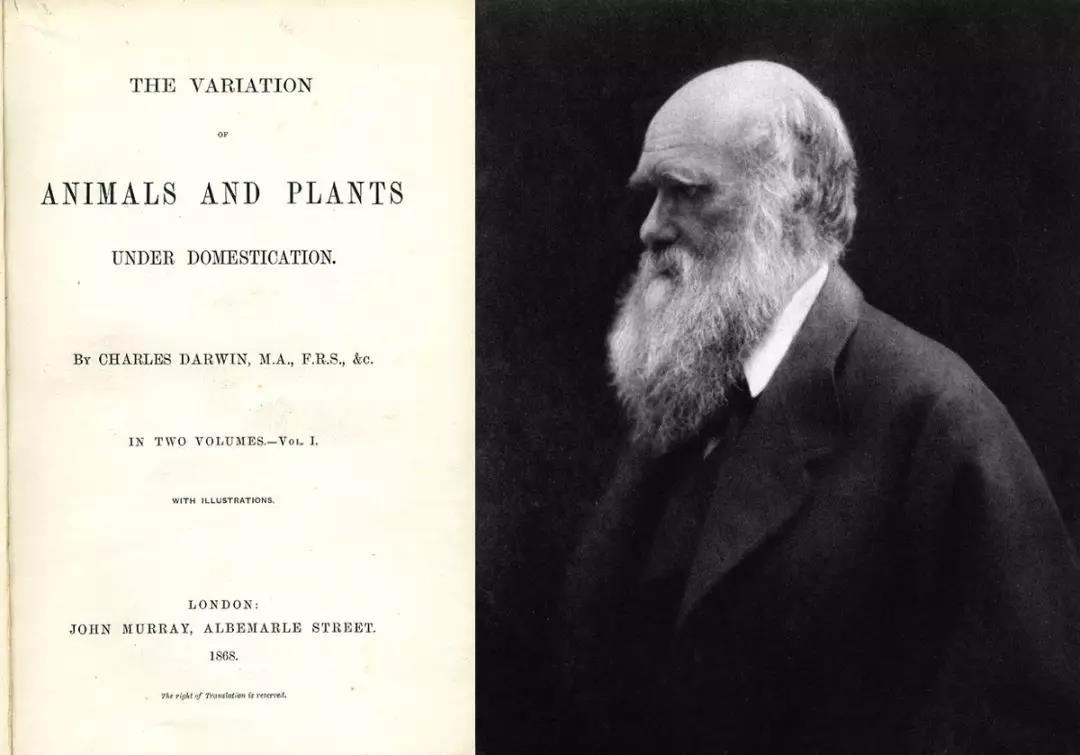 图片:charles darwin &
