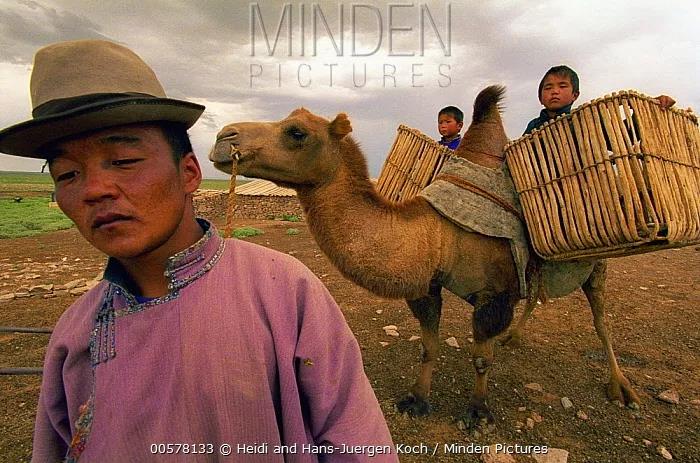 都顺拐了,骆驼怎么还能做"沙漠之舟"啊!