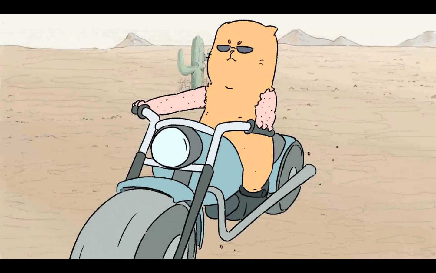 我的邻居全是猫8种治愈角度解析最后一个真没想到