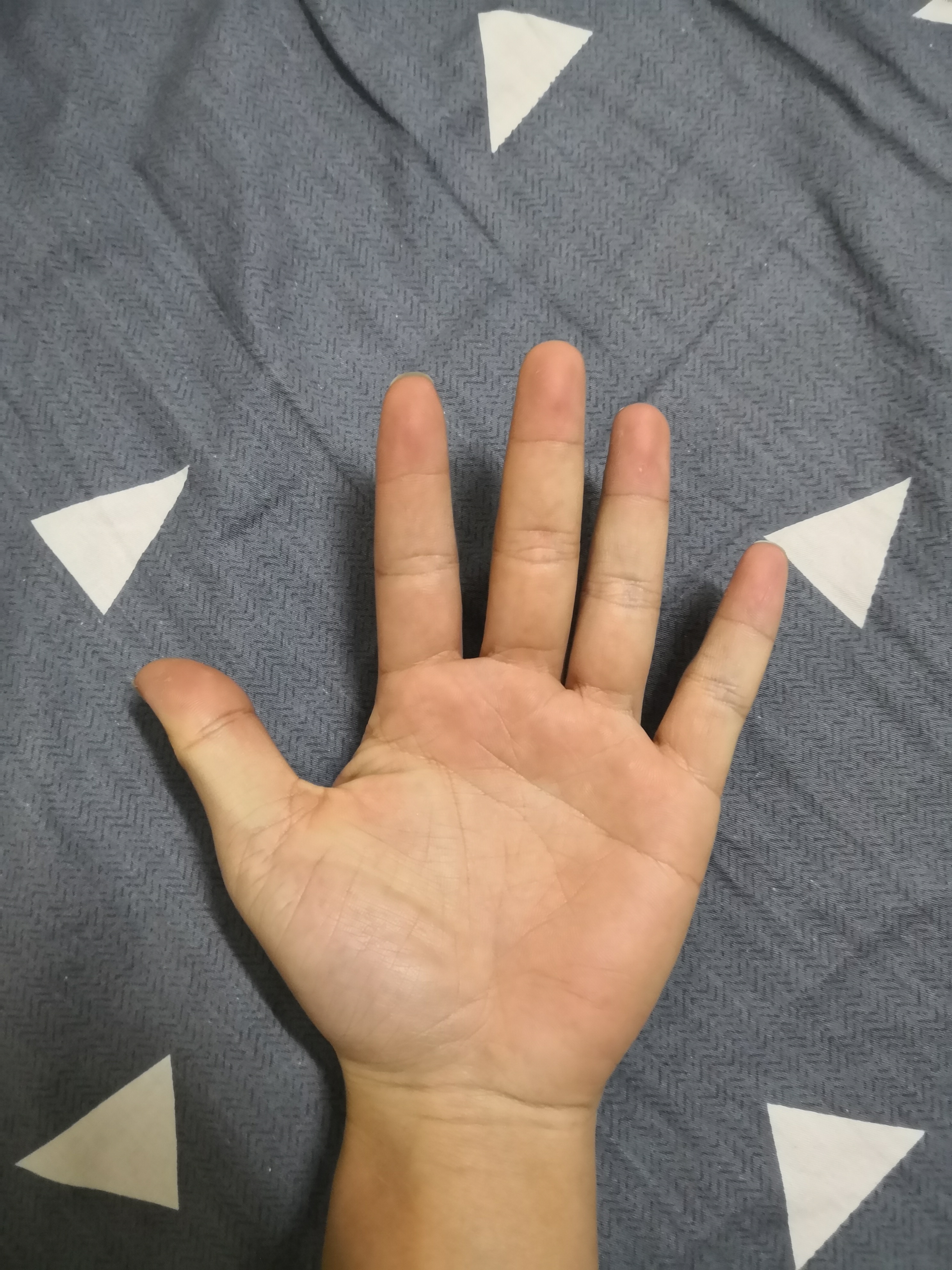 比手大赛我的左右酱混个奖励