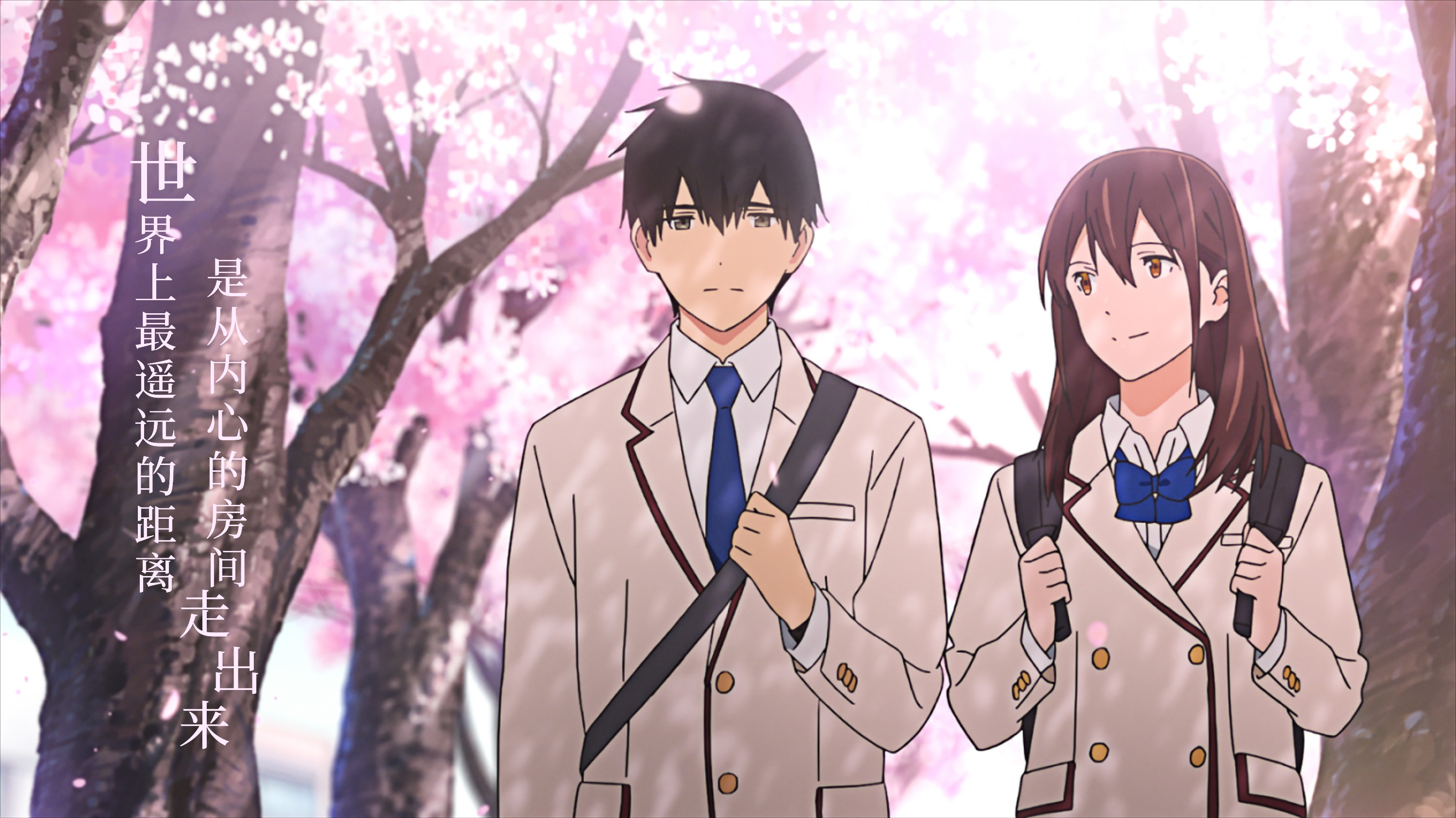 Can I Eat Your Pancreas