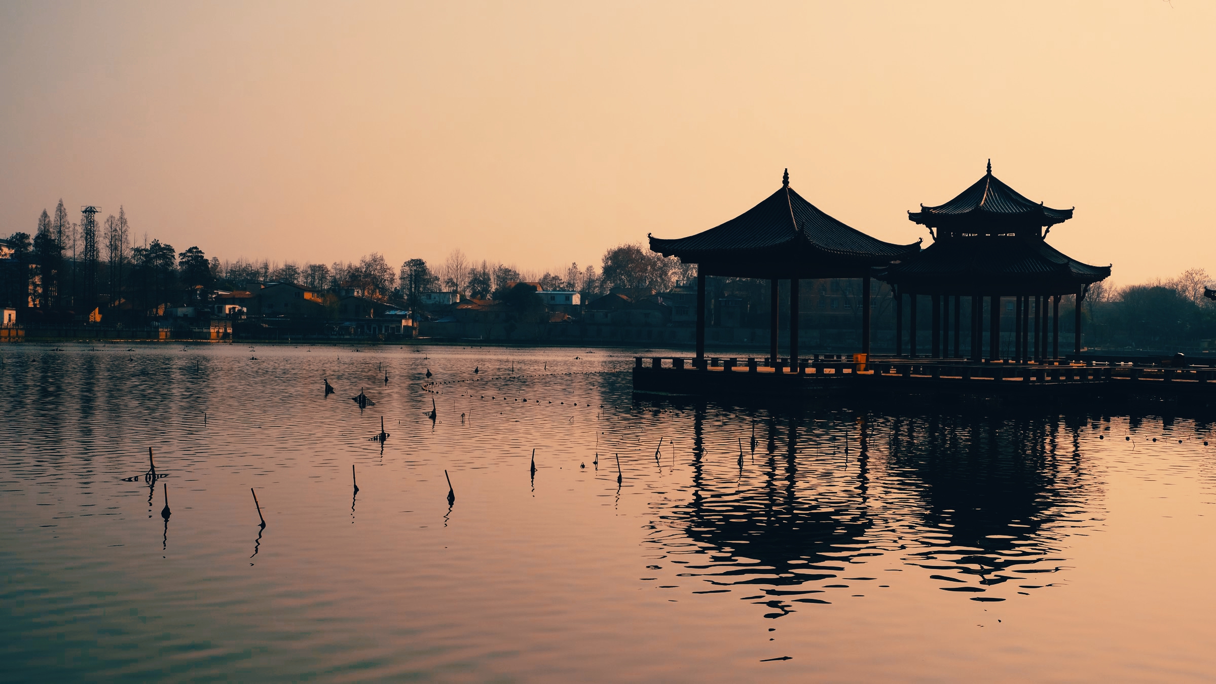 晴川历历汉阳树一个汉口伢眼里的汉阳钟家村篇