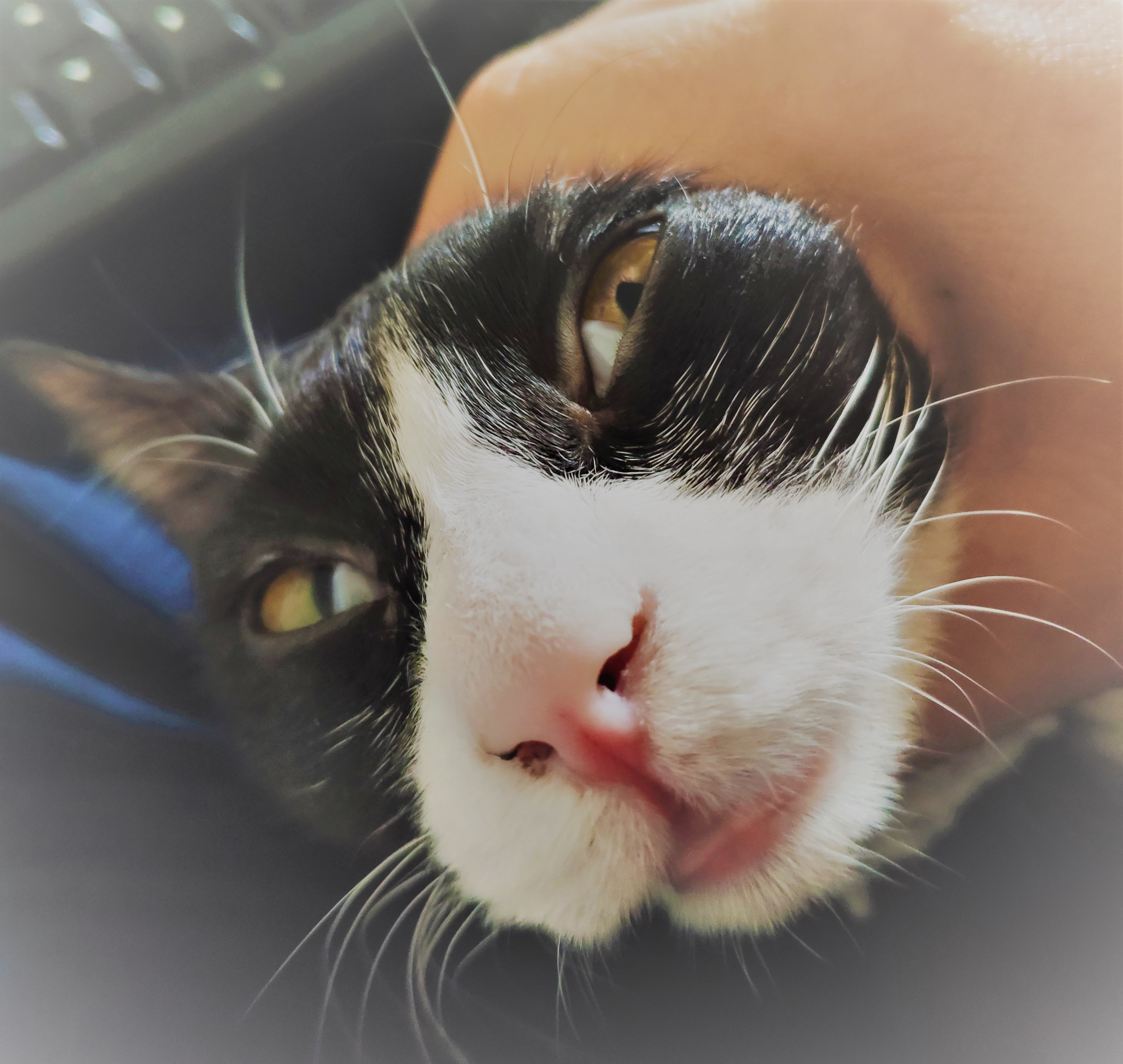 o_1d3443l4p1e75iqs10to4ljg7o2a.jpg