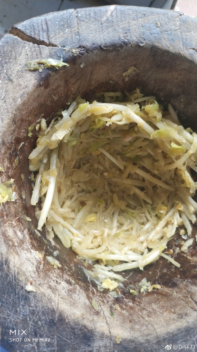 洗干净的苤菜根,剪断,一起捣碎(我们叫舂),放在捣好的配料里