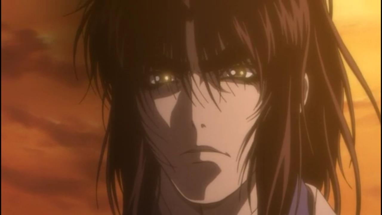 讲述德川家康统一日本后,认为自己部下的甲贺忍者与伊贺忍者势力太大