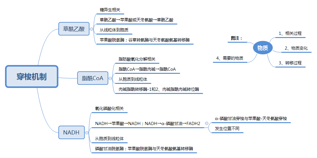学业报告书大二上学期②生物化学与分子生物学补档