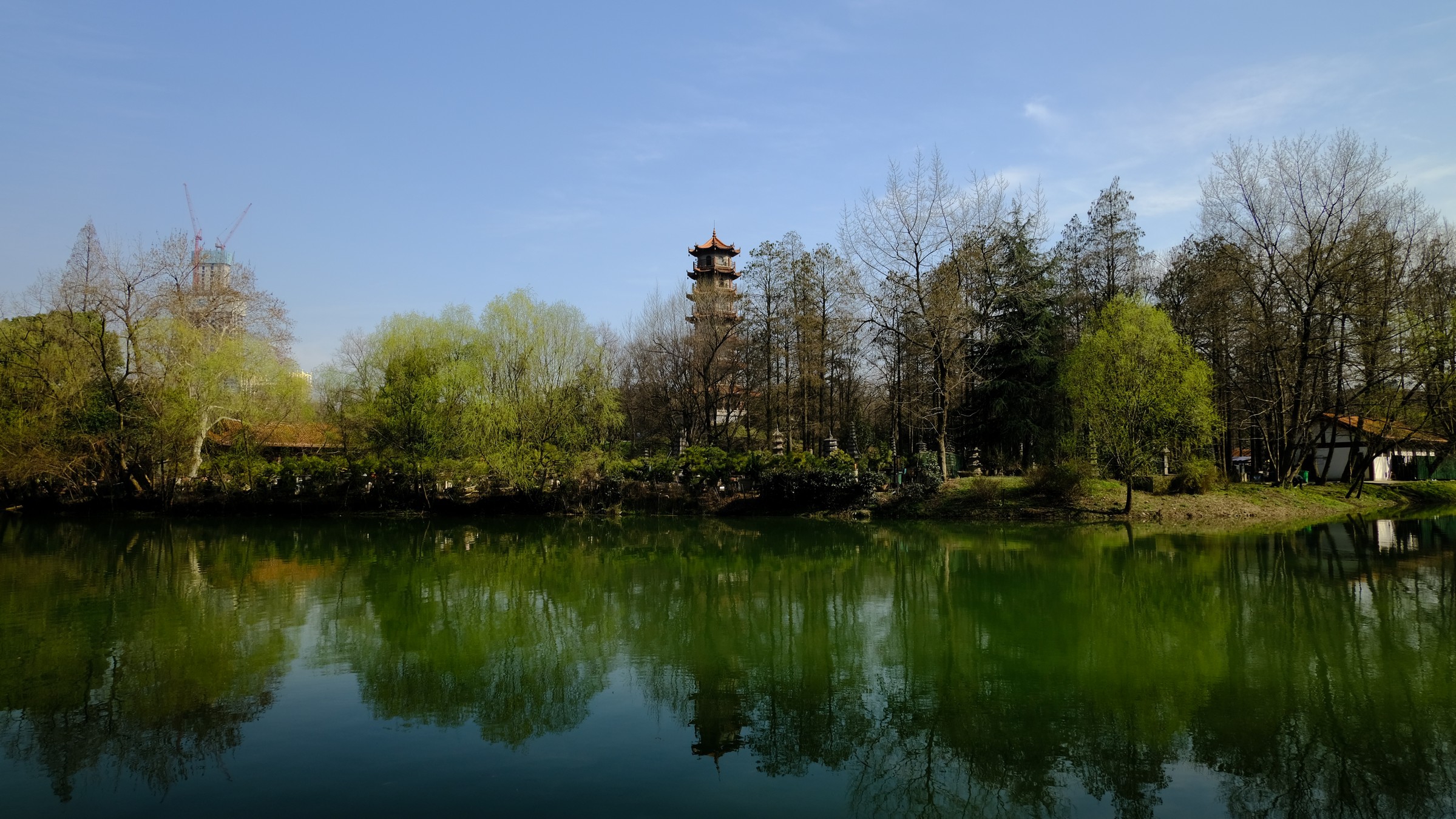 【游图2019】春光-武汉解放公园