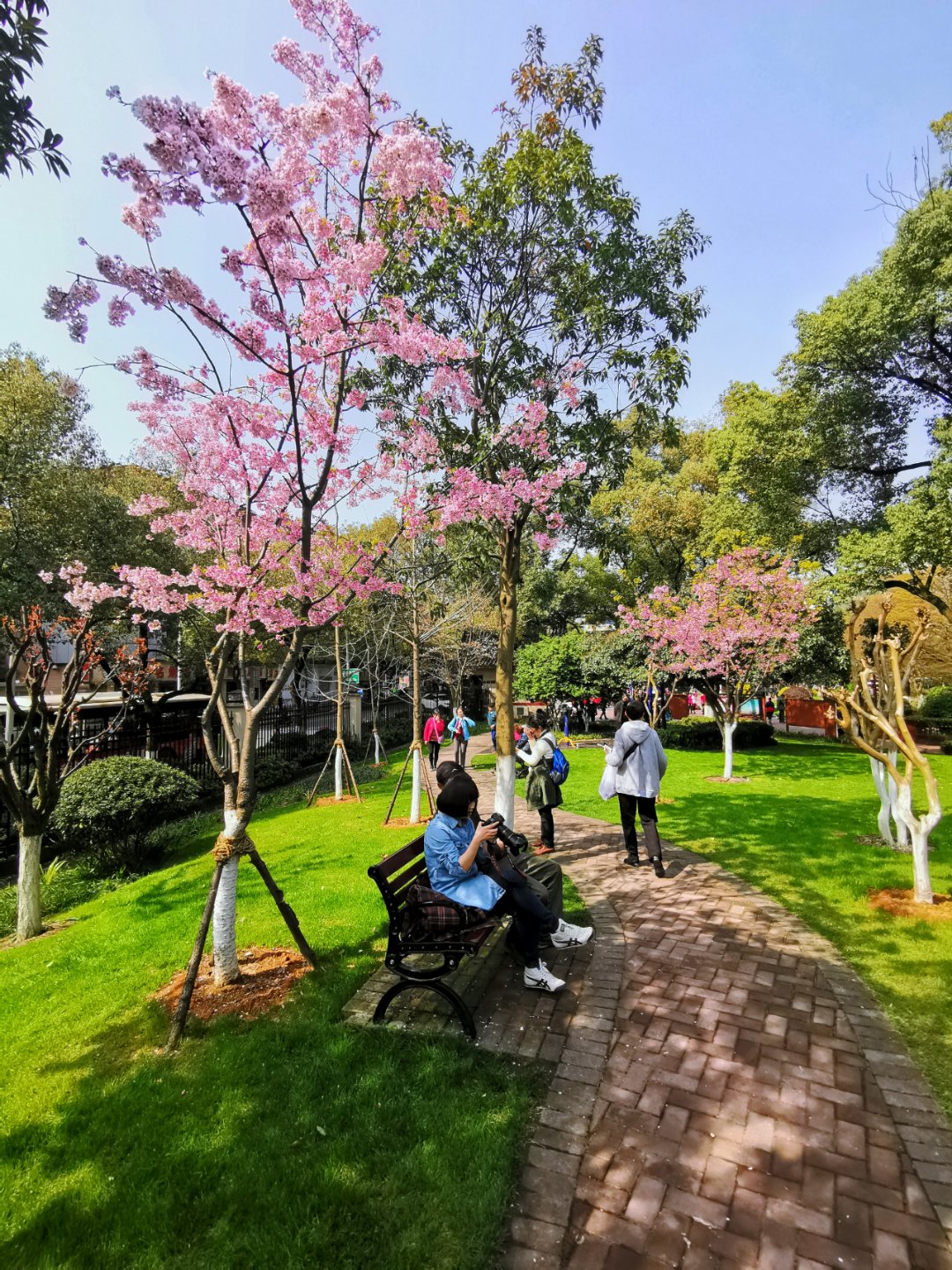 隨拍長沙曉園公園