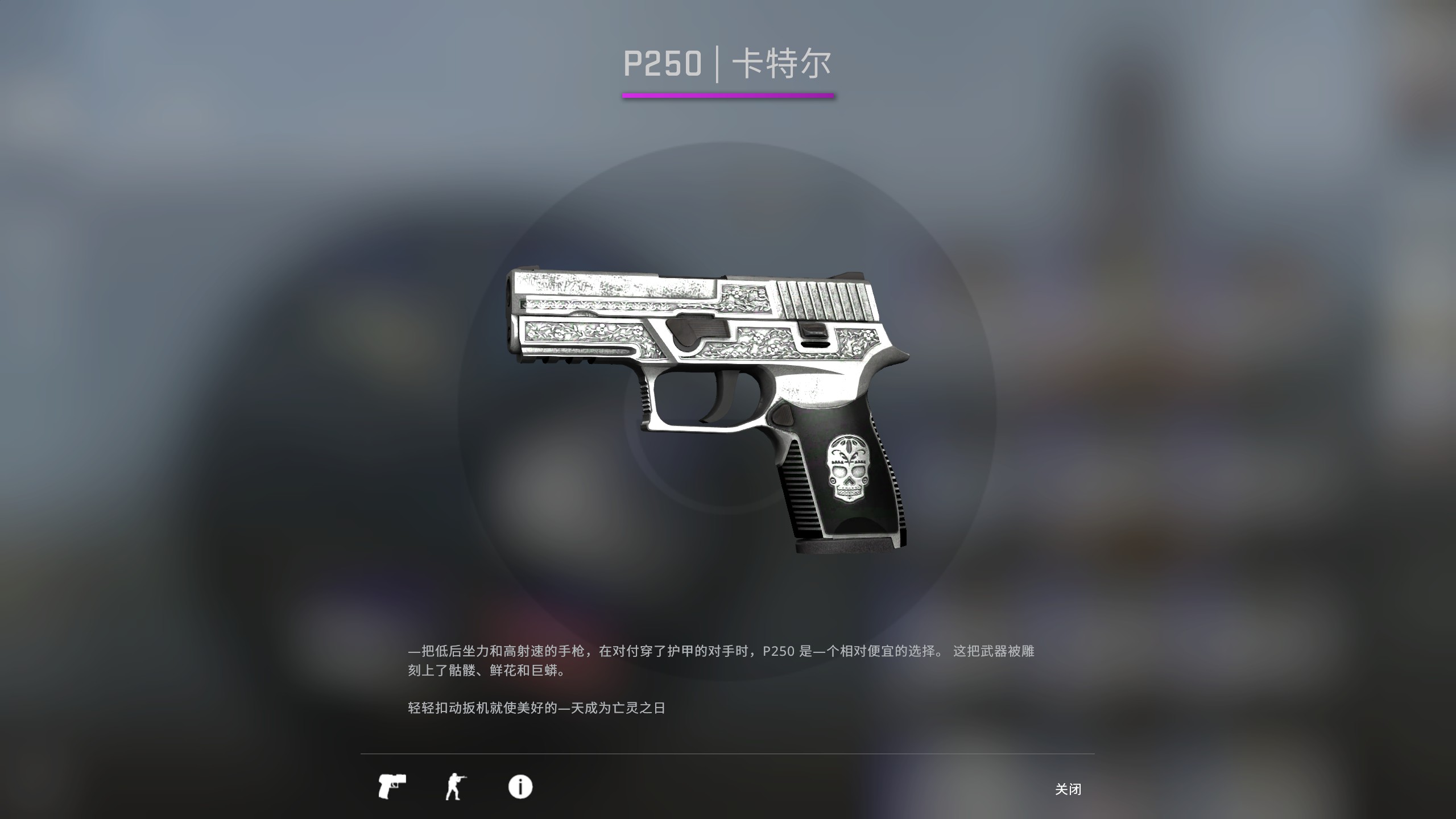 csgo p250图片