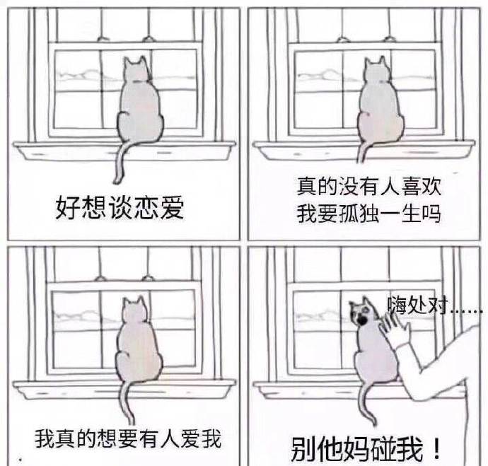 自杀式单身猫