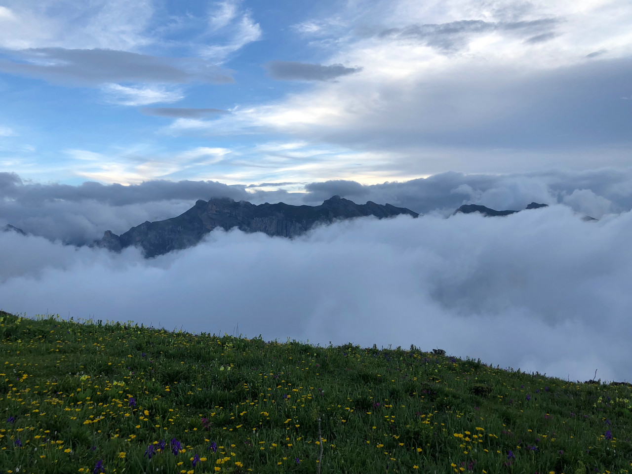 山之旅--四川九顶山(6月)