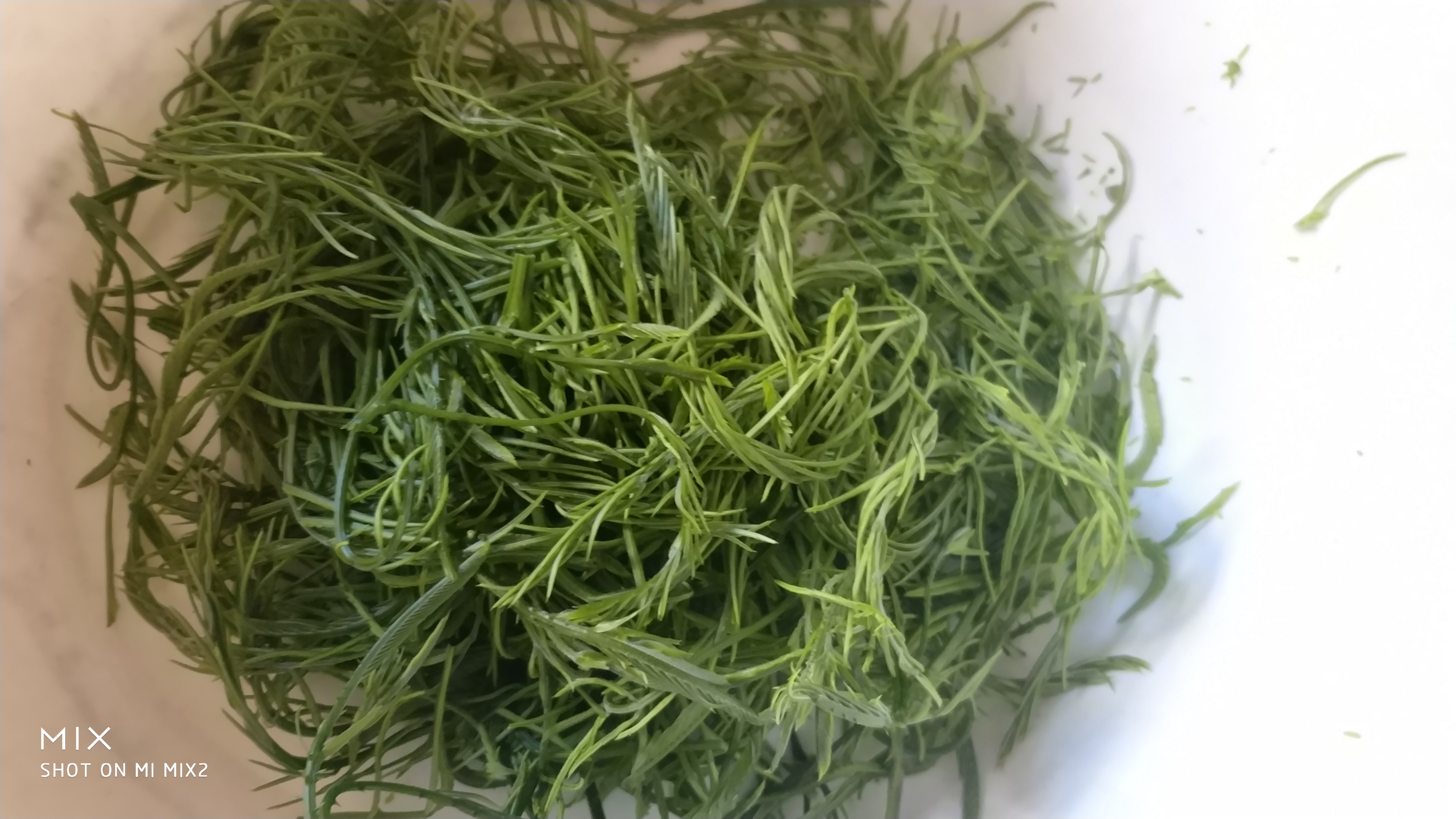 这就是臭菜,采下来臭菜都是带刺的树梢,我们要把嫩叶掐下来,把带刺的