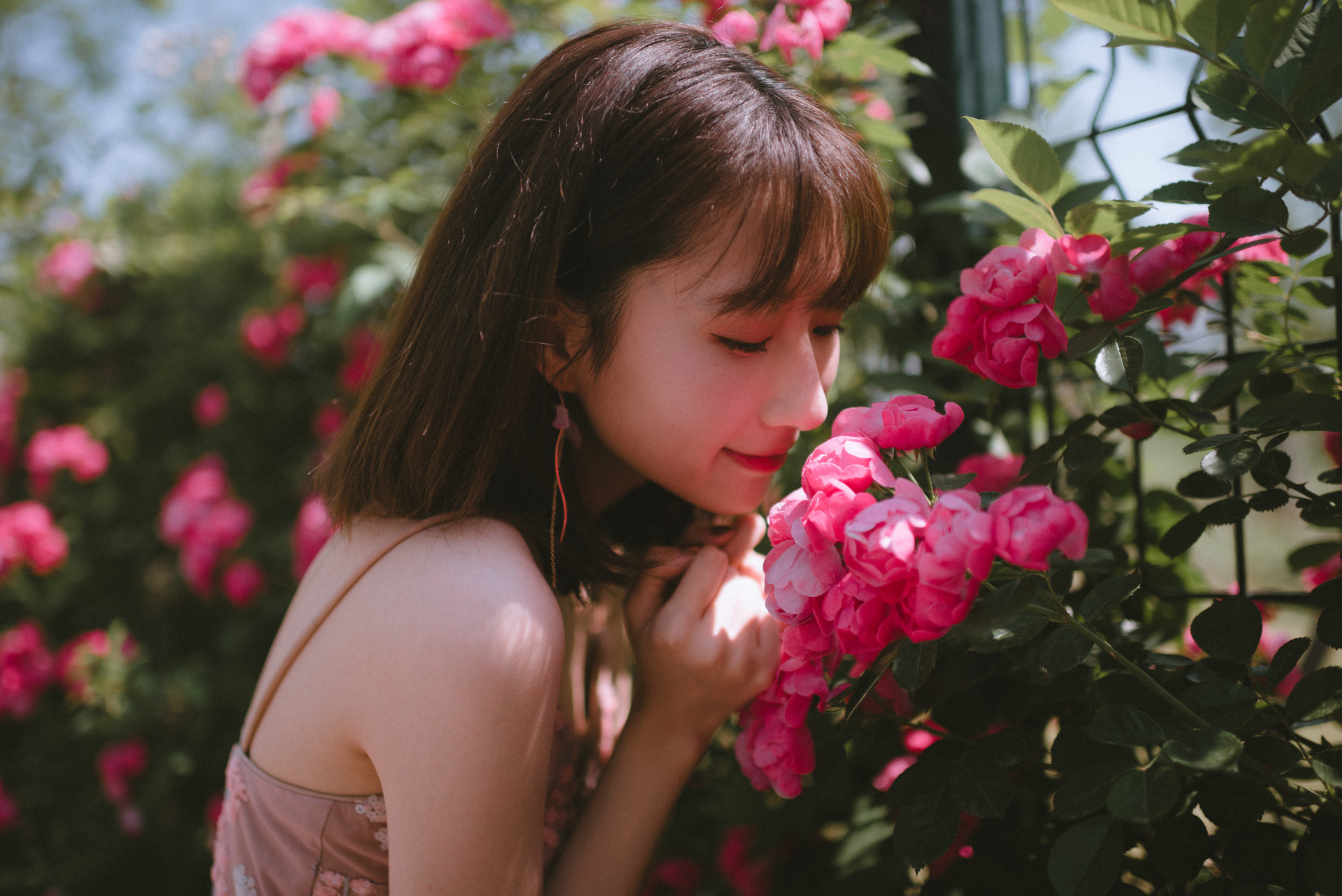 [美女]手心的蔷薇,刺伤而不自知.
