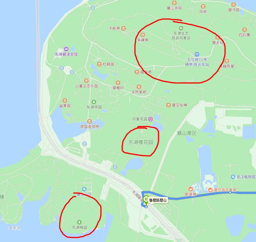 這是武昌地區的起點站.附近就是東湖風景區的梅園,櫻花園和磨山景區.