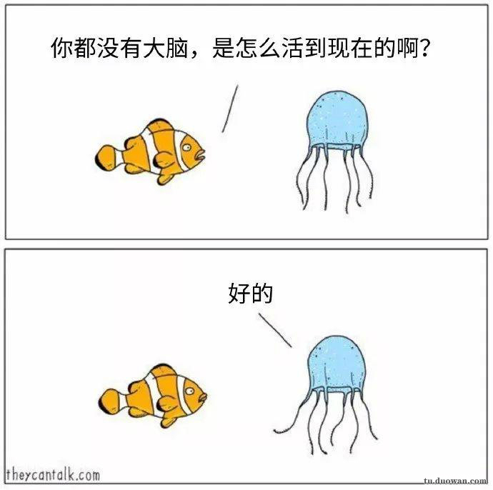 我在乎你