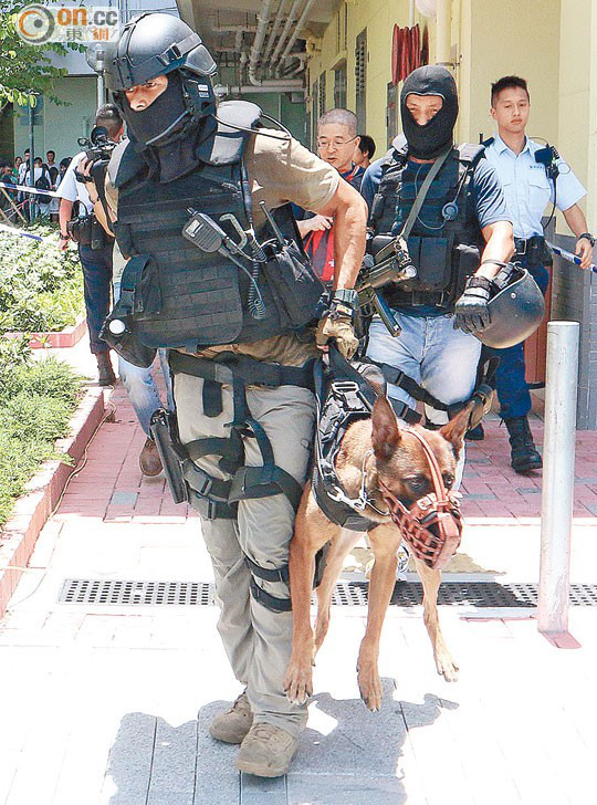 r6部队介绍特别任务连sdu