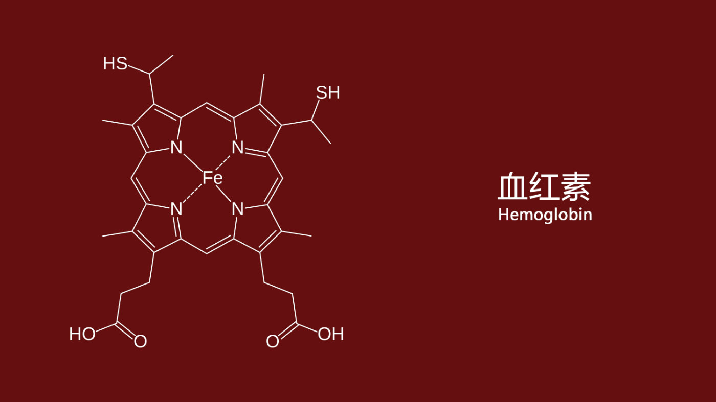 具体来说,赤铁矿粉末的红色和人类鲜血的红色都是含铁化合物的颜色,赤