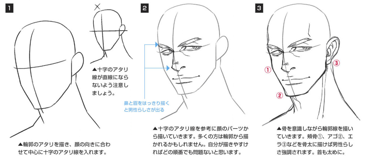 教程漫画人物脸部绘画基础part03各种各样脸的画法