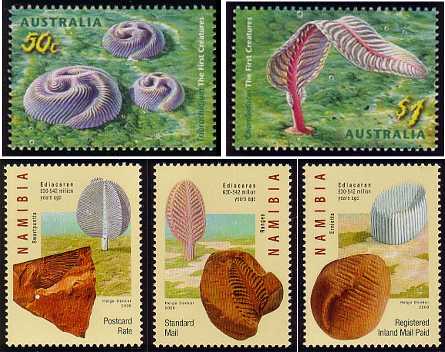 【地球演义】第二十一回 埃迪卡拉纪-失乐园(上)