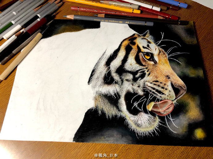 日本画师用彩色铅笔画出来的老虎