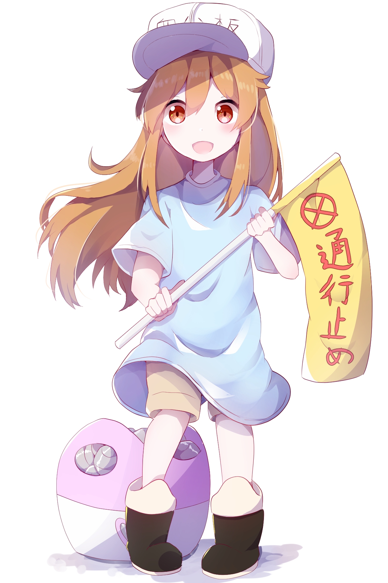 今日推送工作细胞血小板的养眼图这么可爱一定是蓝孩子