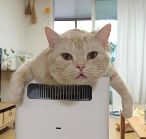 这个属实抽象这表情包到底要用在什么样的语境代表什么样的心情