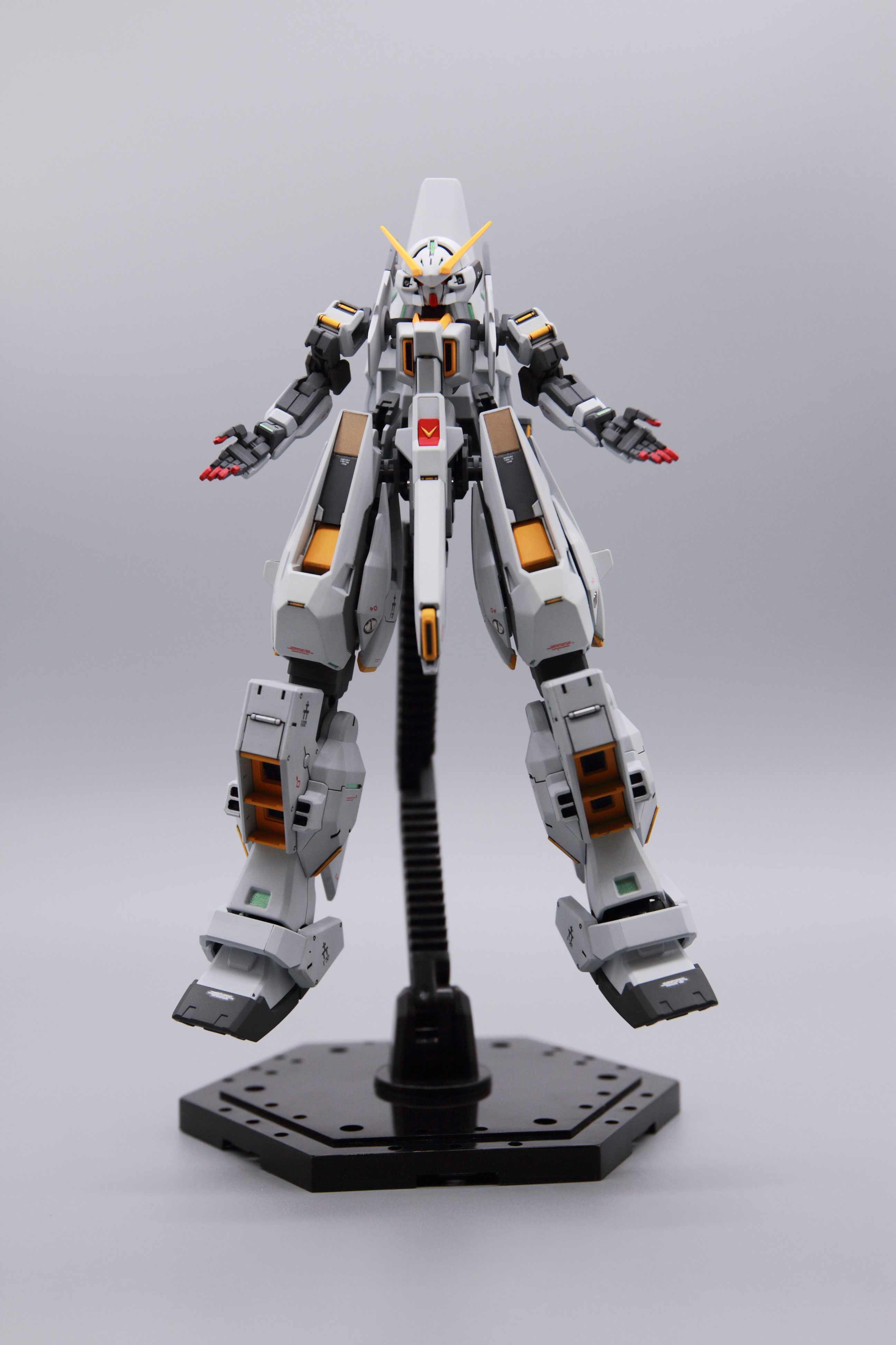 玩模timetr6沃德伍德