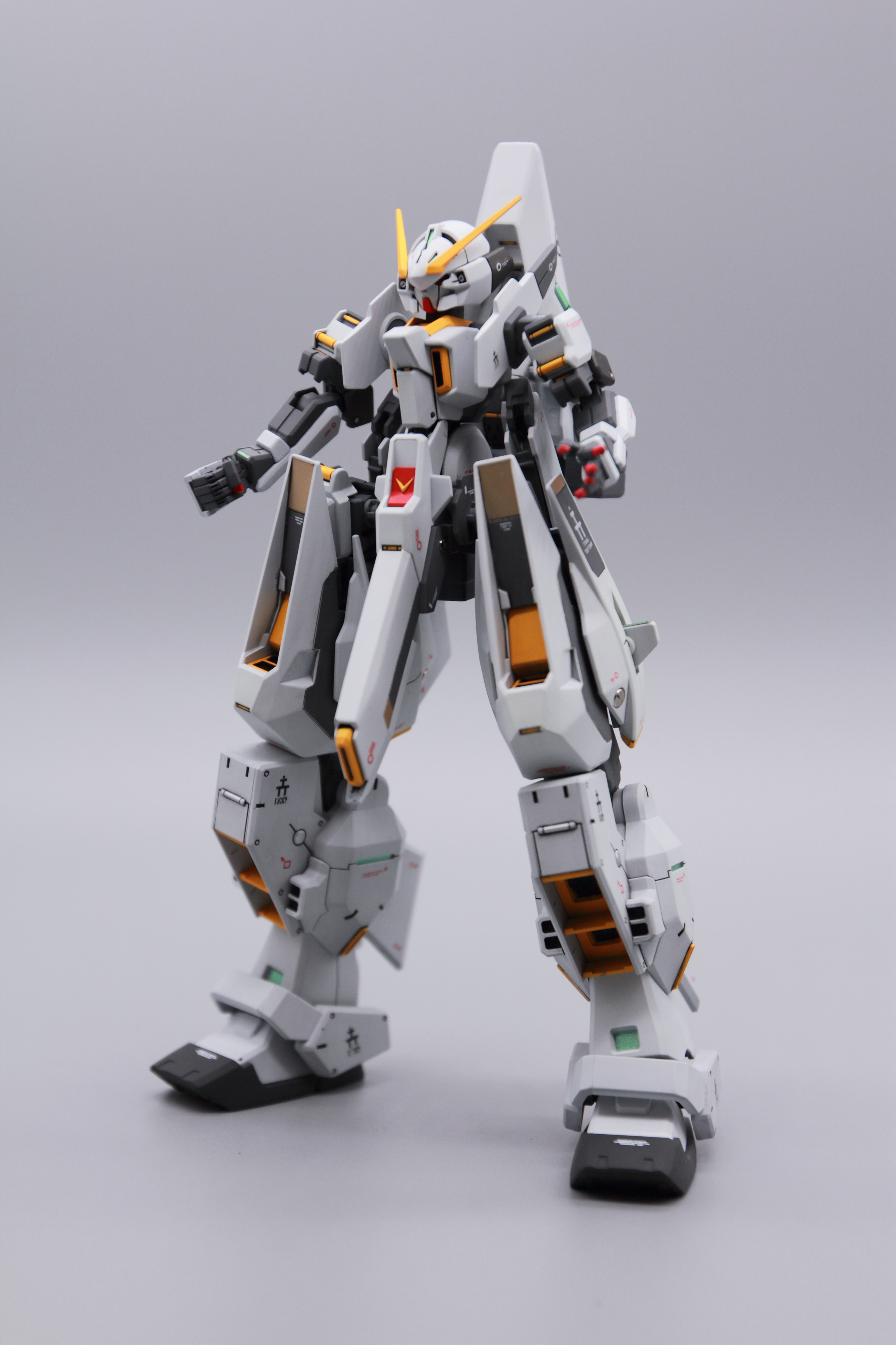 玩模timetr6沃德伍德