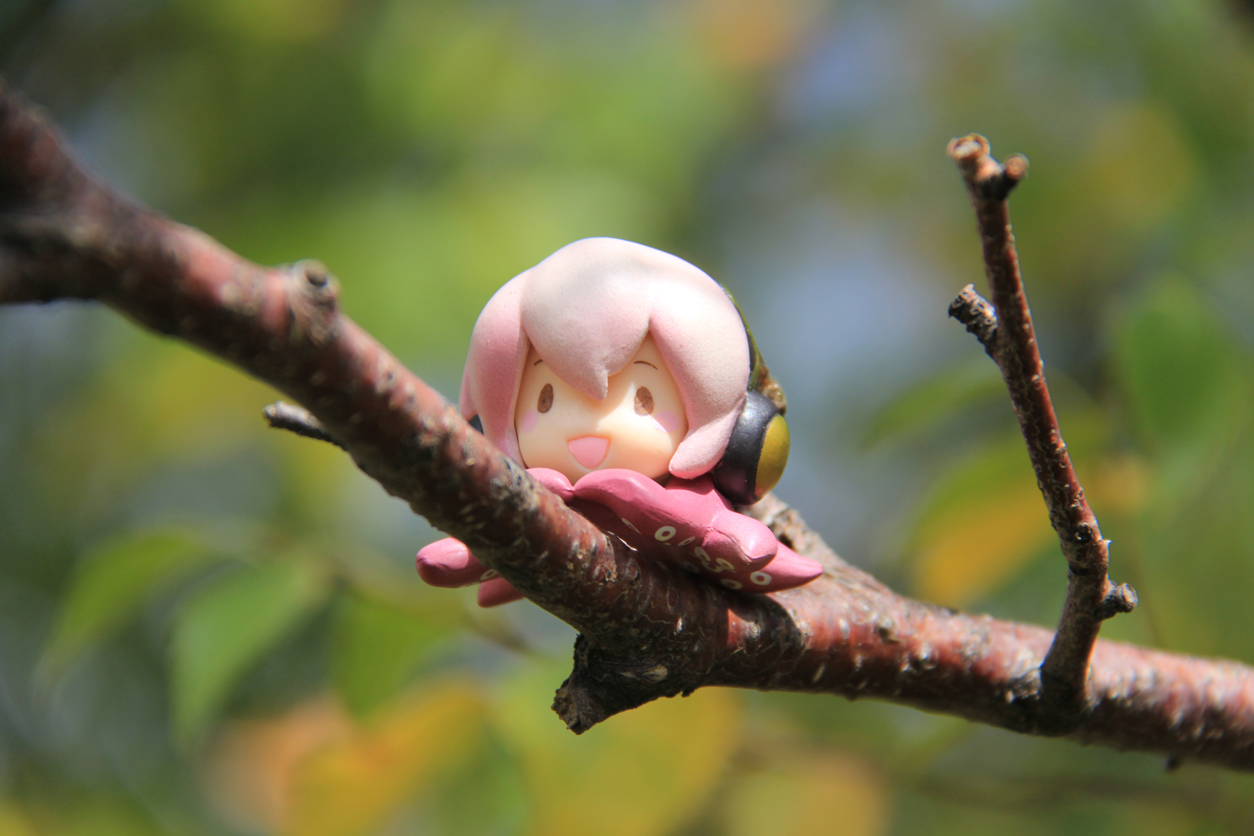 玩模time巡音头上的小章鱼