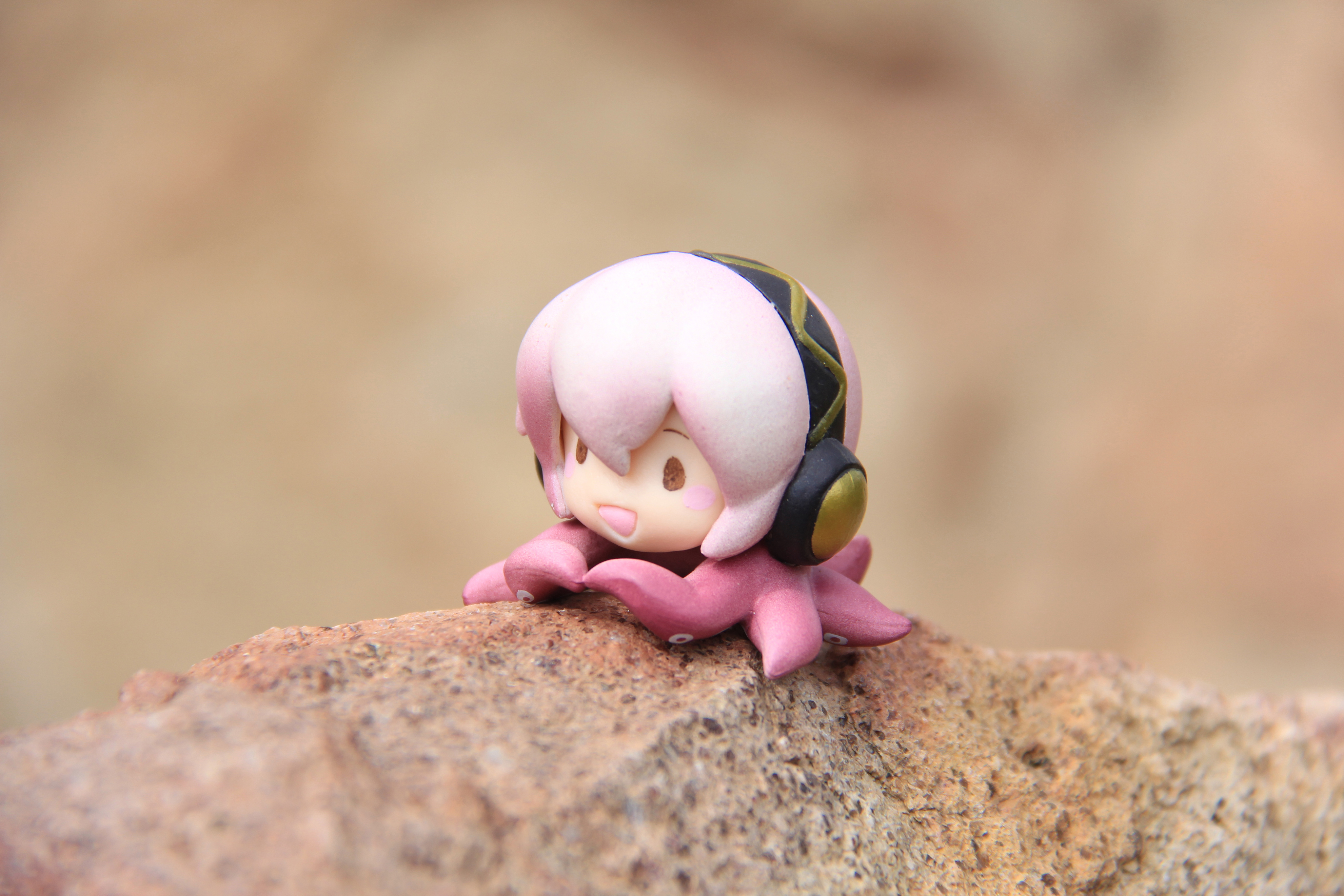 玩模time巡音头上的小章鱼