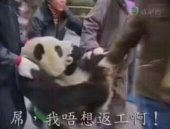 坐标广东佛山问问创业需要准备什么