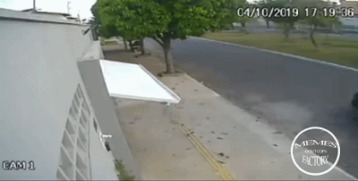 400_203gif 动态图 动图