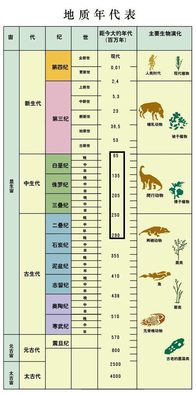 黑科学之进化论浅谈