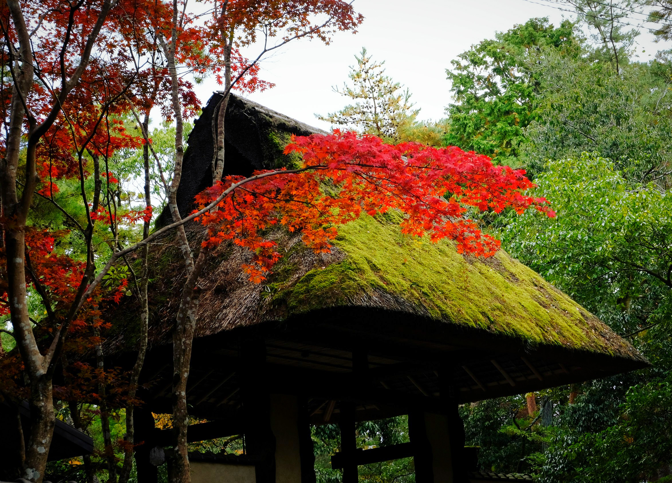游记2019西日本秋游记从伊贺到甲贺