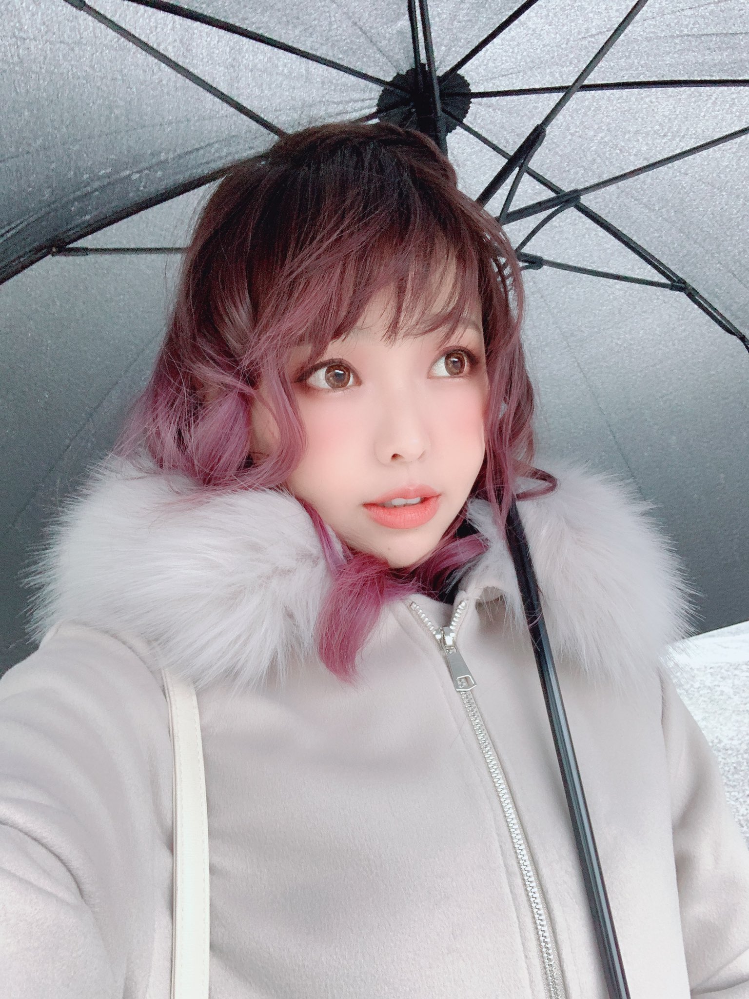 enako雨波@k_purarine   岛风 c97写真集伊织萌洛洛子霜月@ttetonn