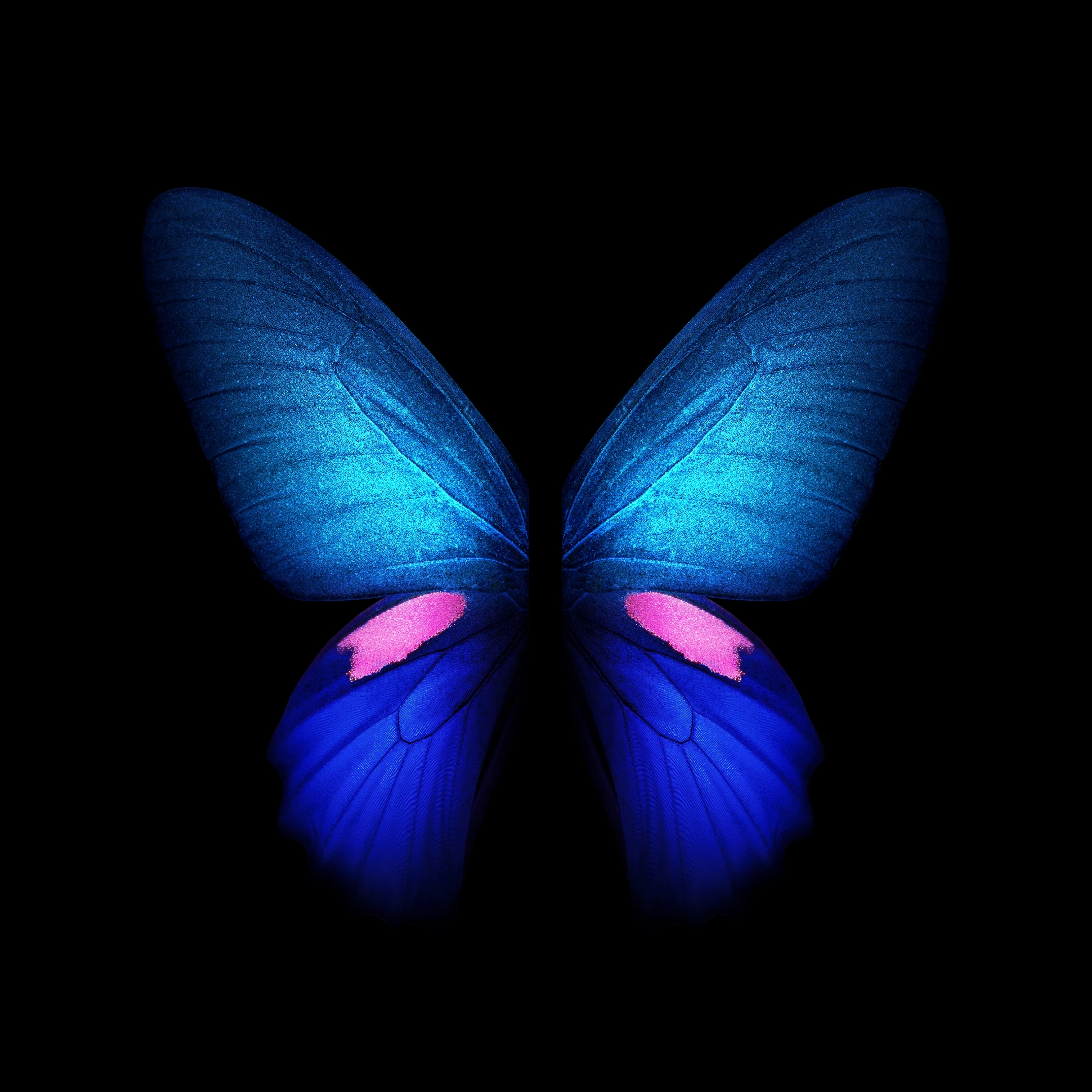 [手机壁纸分享]第6弹 三星w2020 5g壁纸(静态版)(精)