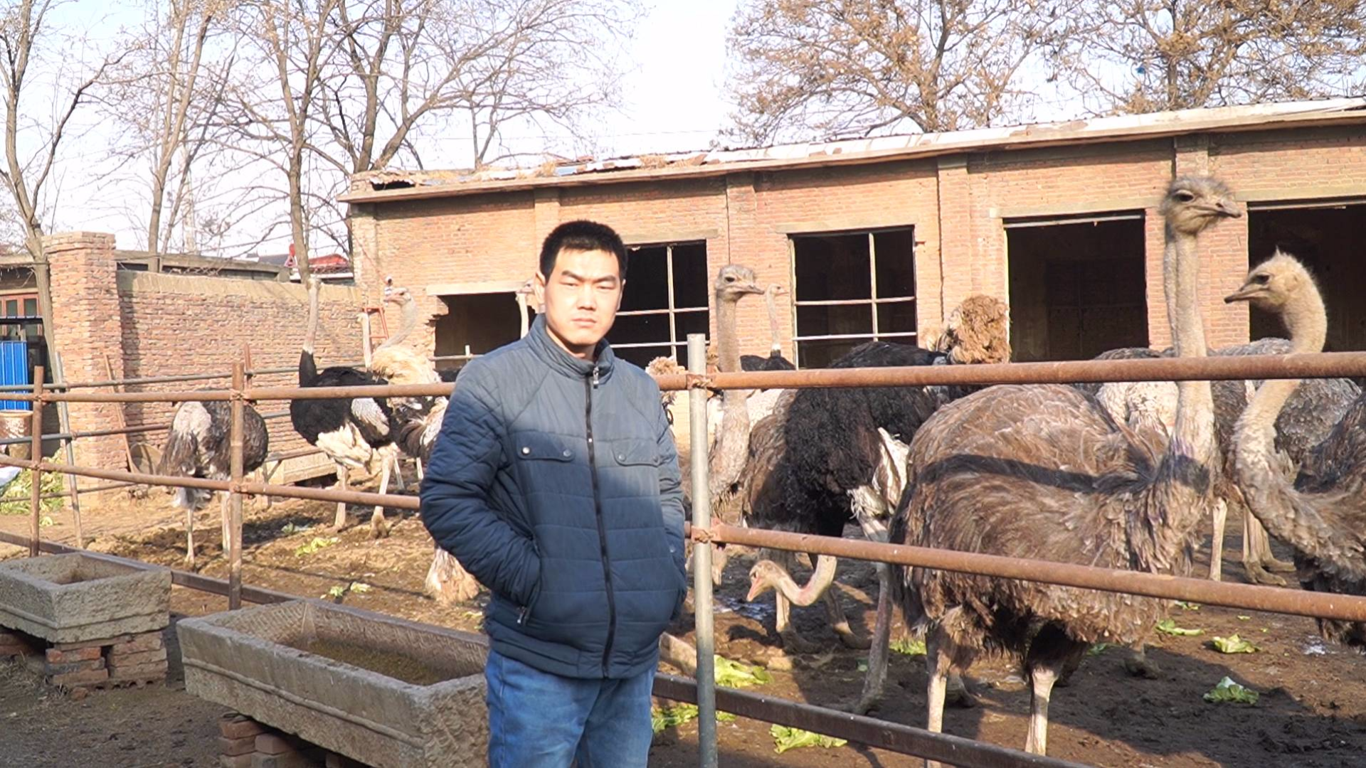 阿远花180块买了一个"鸵鸟蛋",买完和朋友下馆子吃驴肉火锅