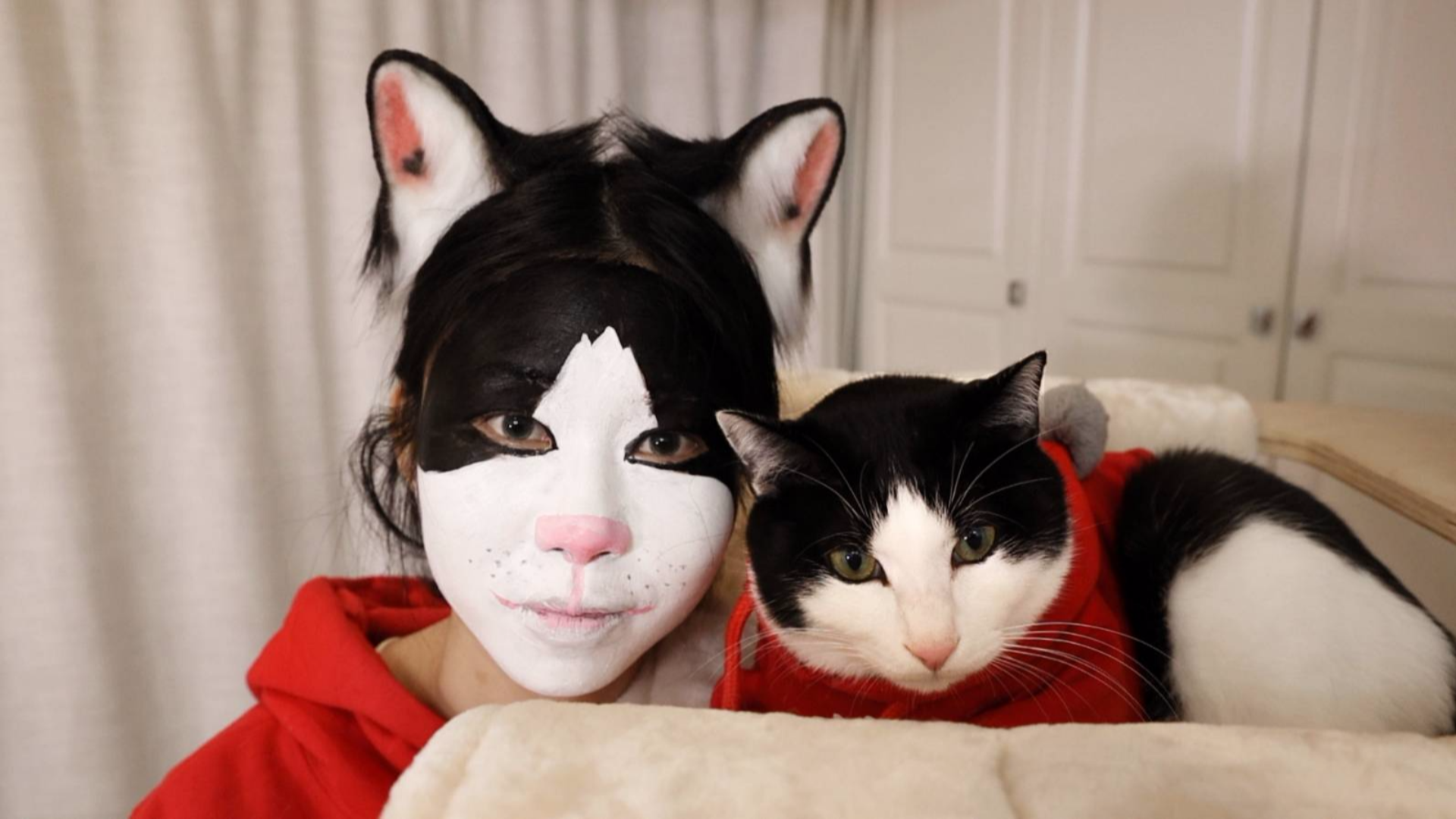 花花与三猫catlive