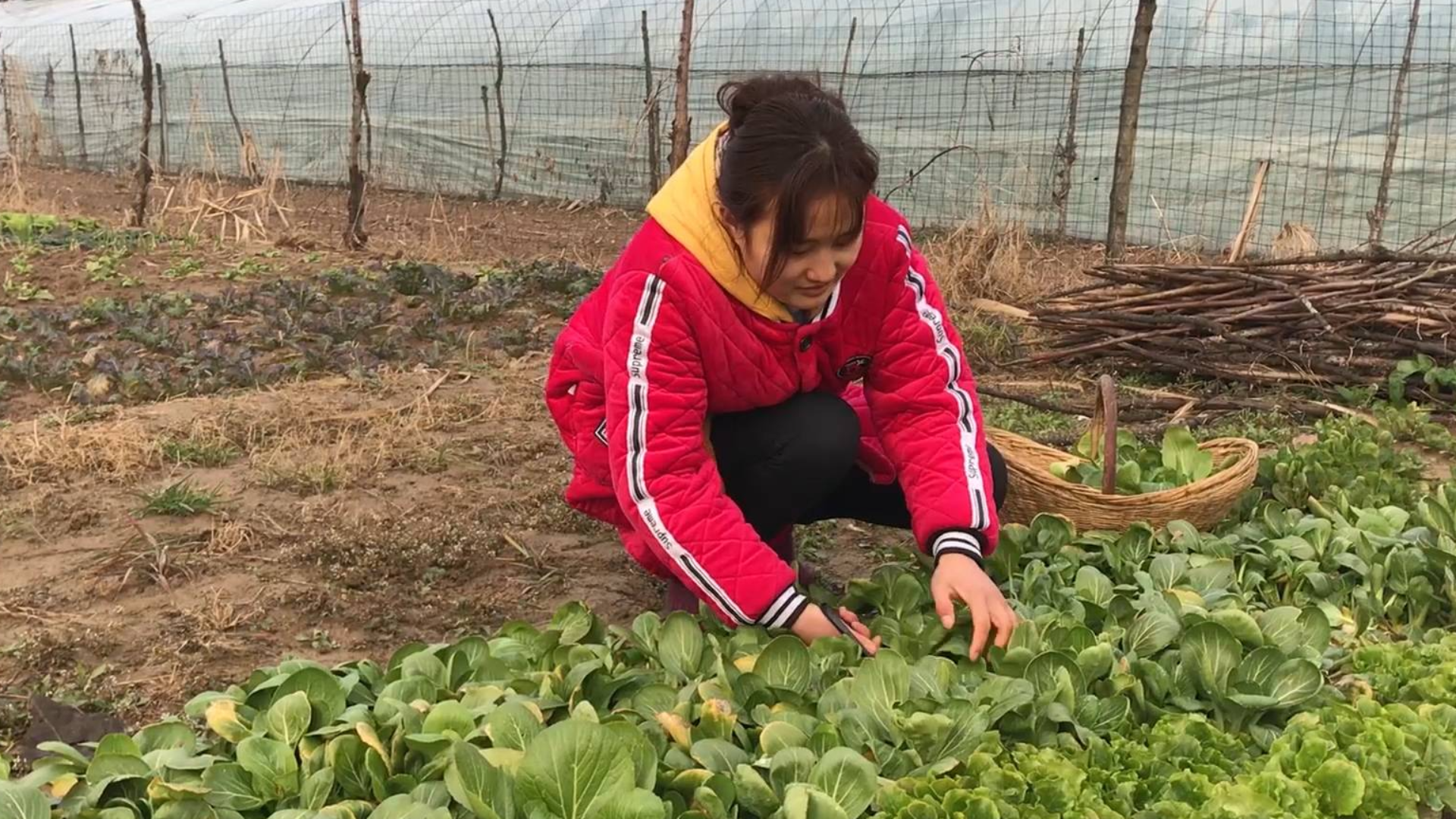 农村媳妇的手机丢了,小伙想给她买一部新的,媳妇:我要iphone11