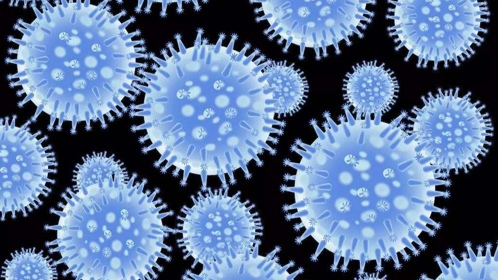 流感9:流感病毒有哪些分型?