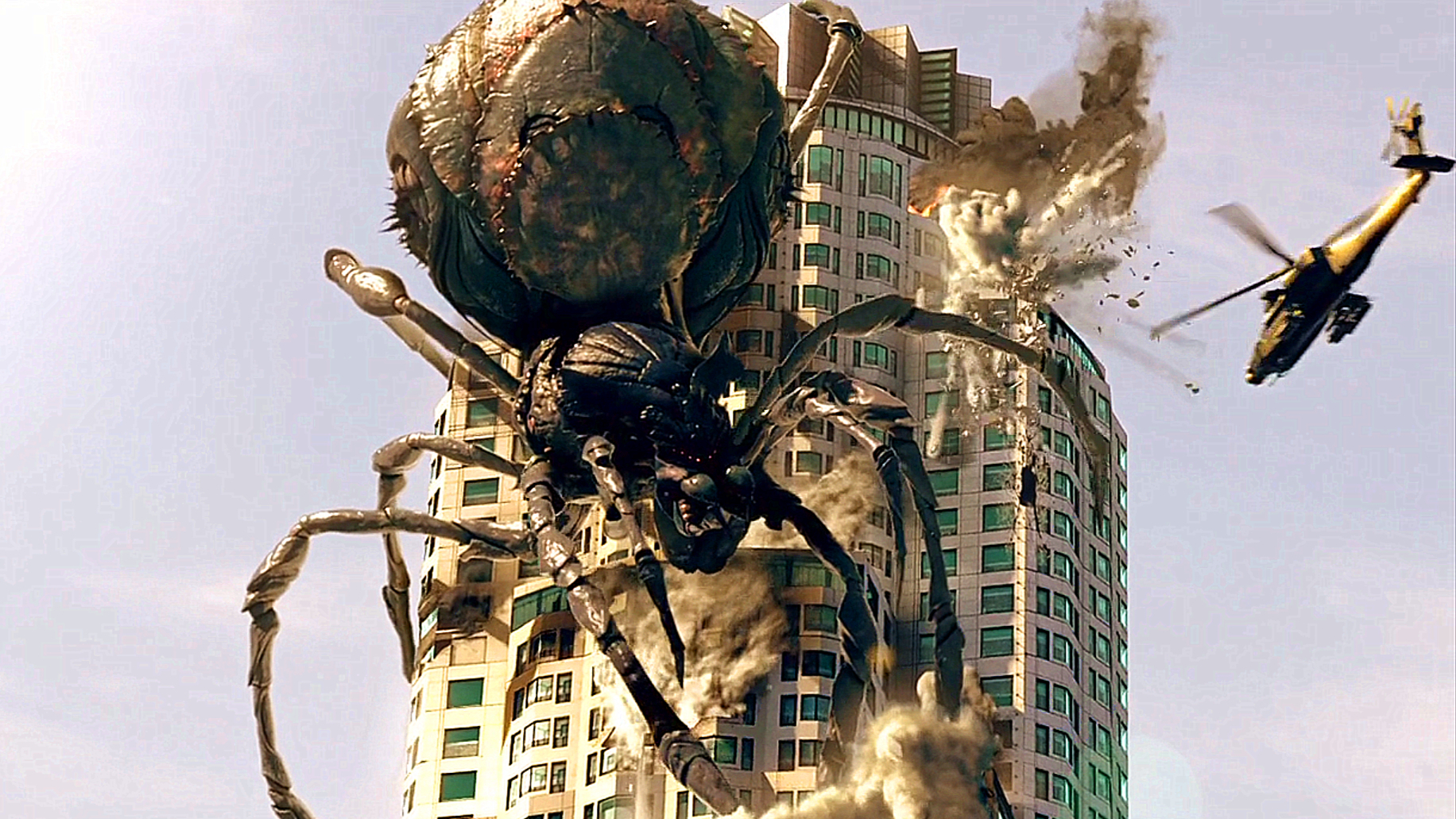 世界上最大的蜘蛛王图片