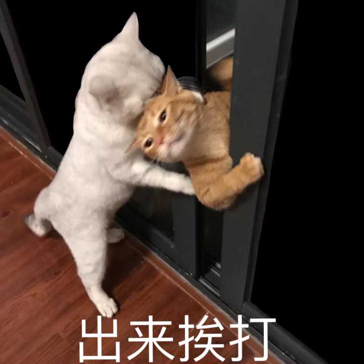 【沙雕群友】点题.