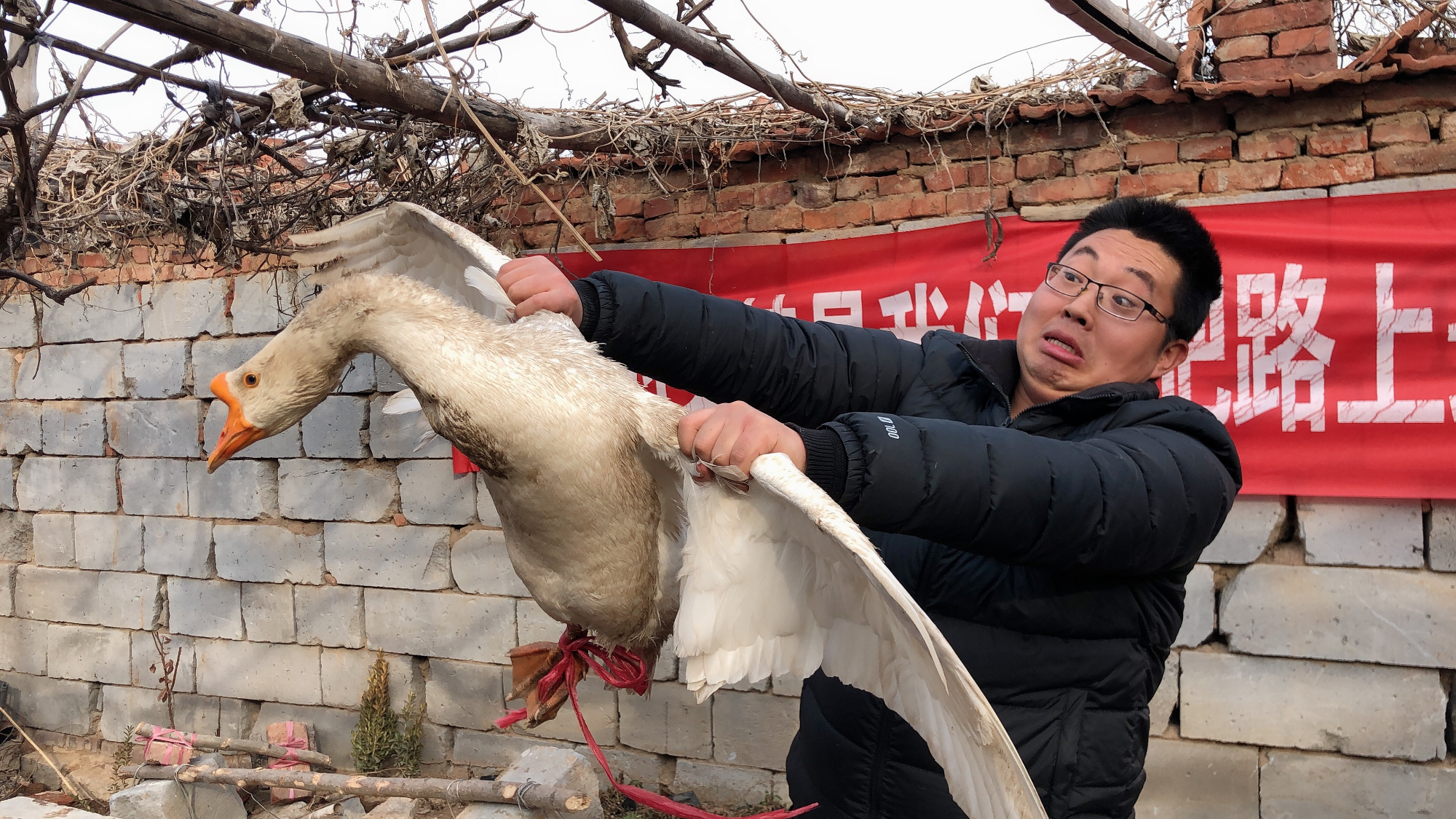 200元买8斤大鹅,这样做出来,醇香入味,油而不腻,啃着真过瘾!