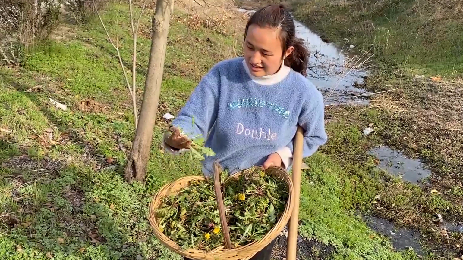 小伙和媳妇一起去挖黄花苗,遍地都是不要钱,媳妇挖到手软挖不完