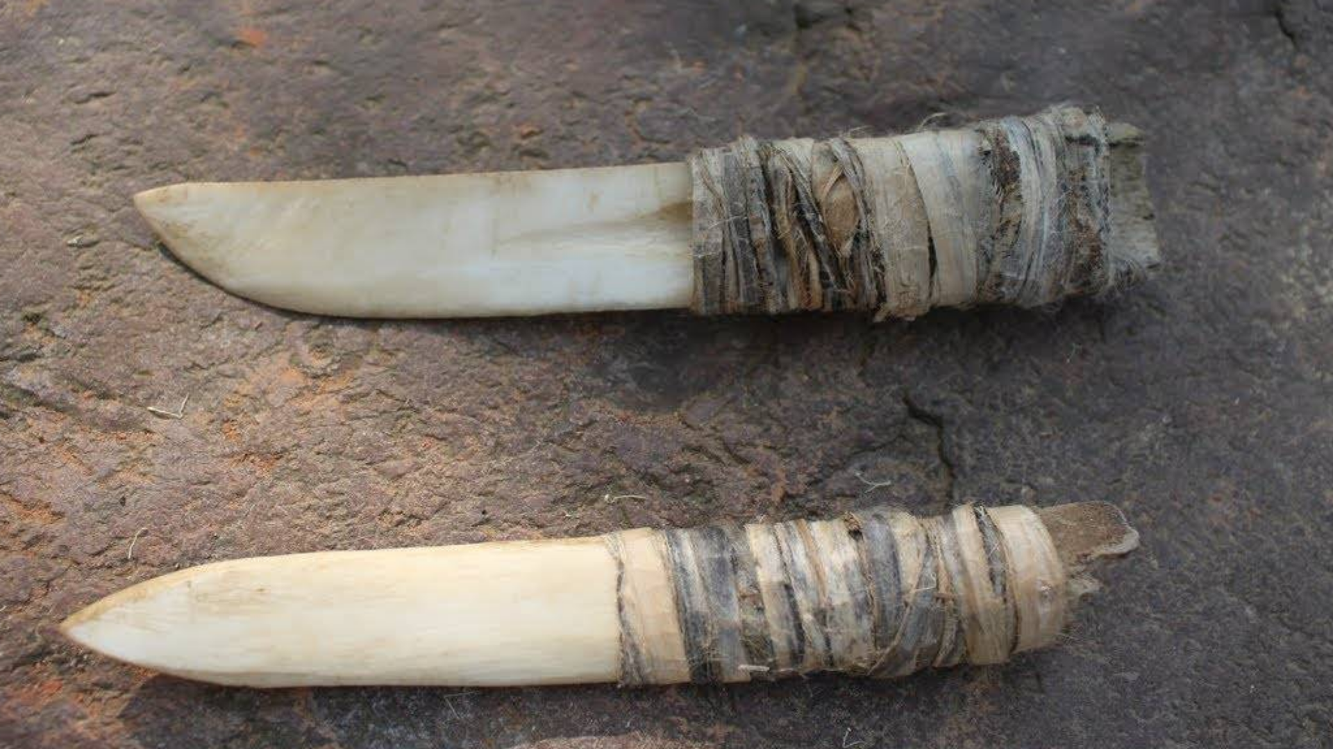 原始技术:原始牛骨刀