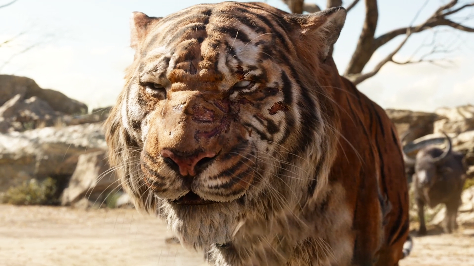 奇幻森林男孩从小被狼养大却被老虎追杀最终战胜森林之王