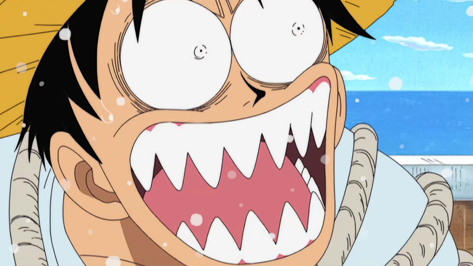 海贼王:论船长的正确打开方式,路飞的使用说明书请查收!